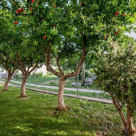 Apartman Sofija Apartamento Trebinje